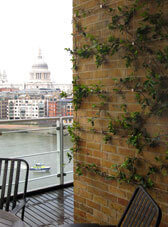 Click to enlarge Green Wall Wire Trellis - The living wall - Click to enlarge